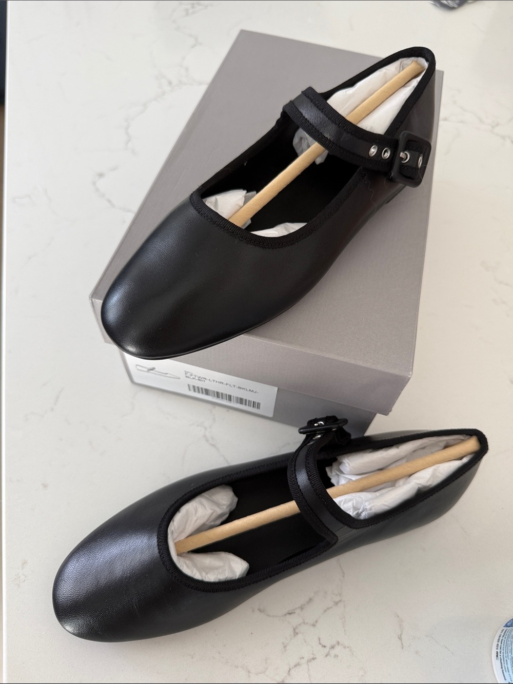 Everlane Black Leather Mary Jane Flat with Buckle Strap Size 6.5 Womens